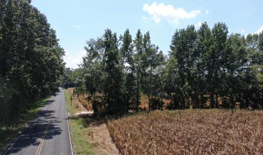 Photo #4 of Tbd Nc 41, Fairmont, NC 55.5 acres