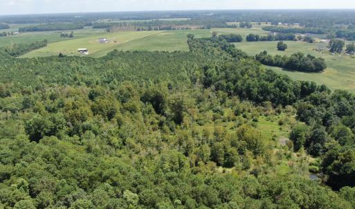 Photo #8 of Tbd Fairgrove, Fairmont, NC 69.0 acres