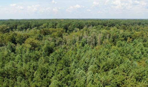 Photo #13 of Tbd Fairgrove, Fairmont, NC 69.0 acres