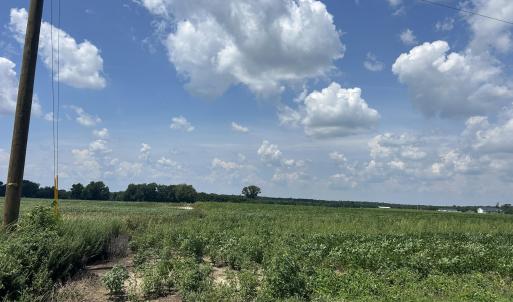 Photo #25 of Tbd Fairgrove, Fairmont, NC 69.0 acres