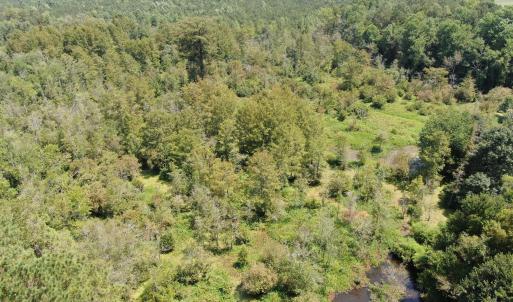 Photo #9 of Tbd Fairgrove, Fairmont, NC 69.0 acres