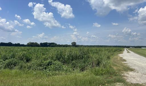 Photo #27 of Tbd Fairgrove, Fairmont, NC 69.0 acres