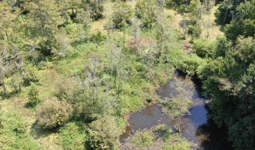 Photo #11 of Tbd Fairgrove, Fairmont, NC 69.0 acres