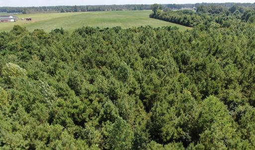 Photo #14 of Tbd Fairgrove, Fairmont, NC 69.0 acres