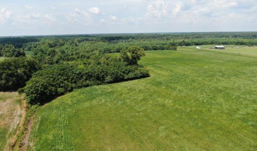 Photo #21 of Tbd Fairgrove, Fairmont, NC 69.0 acres