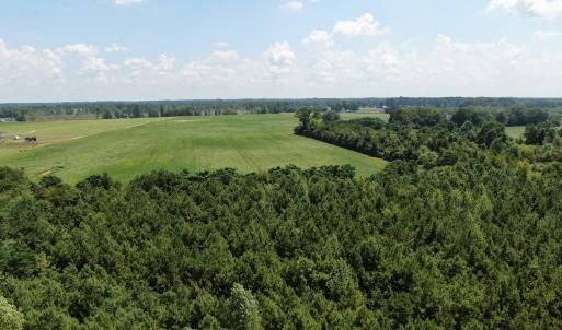 Photo #12 of Tbd Fairgrove, Fairmont, NC 69.0 acres