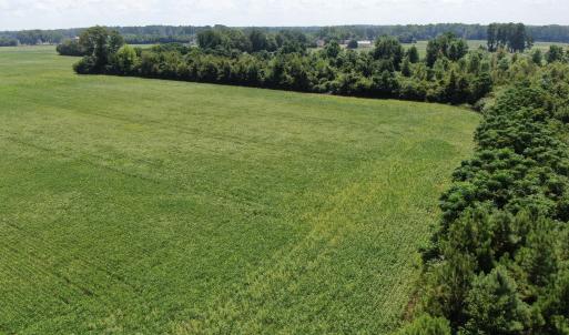Photo #15 of Tbd Fairgrove, Fairmont, NC 69.0 acres