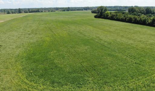 Photo #16 of Tbd Fairgrove, Fairmont, NC 69.0 acres