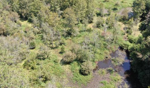 Photo #10 of Tbd Fairgrove, Fairmont, NC 69.0 acres
