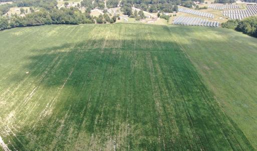 Photo #7 of Tbd Chicken, Fairmont, NC 64.7 acres
