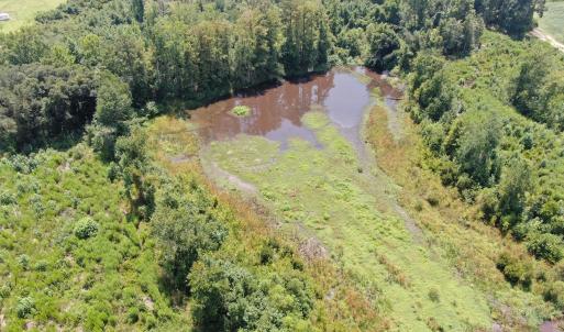 Photo #24 of Tbd Chicken, Fairmont, NC 64.7 acres