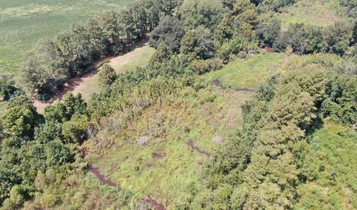 Photo #25 of Tbd Chicken, Fairmont, NC 64.7 acres