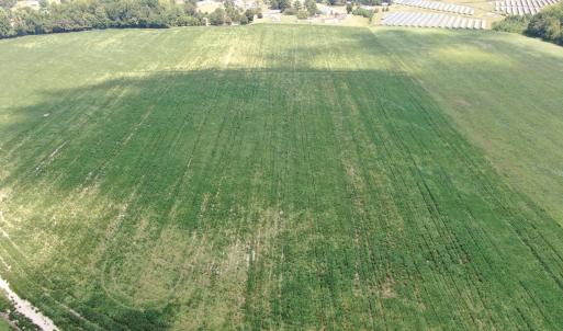 Photo #6 of Tbd Chicken, Fairmont, NC 64.7 acres
