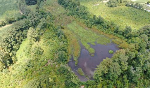 Photo #14 of Tbd Chicken, Fairmont, NC 64.7 acres