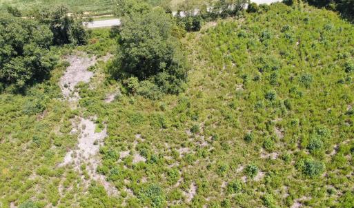 Photo #23 of Tbd Chicken, Fairmont, NC 64.7 acres