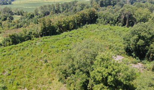 Photo #29 of Tbd Chicken, Fairmont, NC 64.7 acres