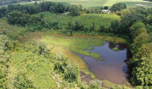Photo #17 of Tbd Chicken, Fairmont, NC 64.7 acres