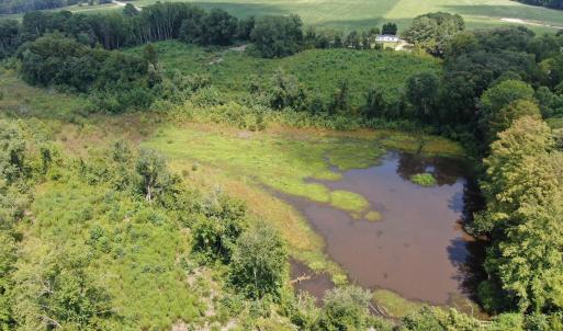 Photo #20 of Tbd Chicken, Fairmont, NC 64.7 acres