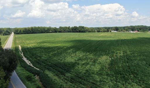 Photo #4 of Tbd Chicken, Fairmont, NC 64.7 acres
