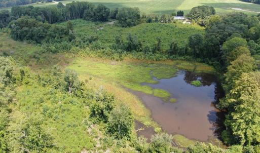 Photo #19 of Tbd Chicken, Fairmont, NC 64.7 acres