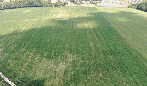 Photo #5 of Tbd Chicken, Fairmont, NC 64.7 acres