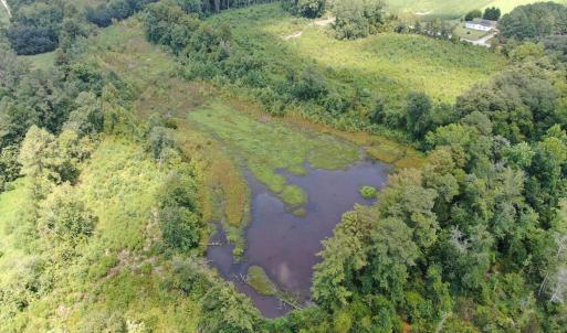 Photo #16 of Tbd Chicken, Fairmont, NC 64.7 acres