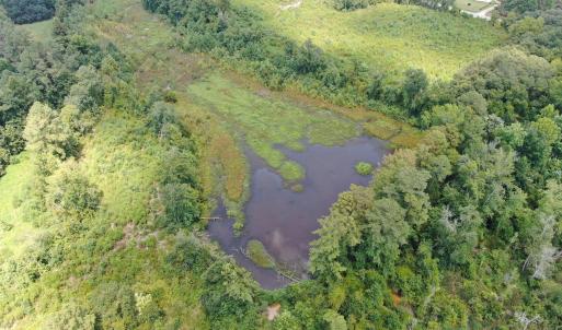 Photo #15 of Tbd Chicken, Fairmont, NC 64.7 acres