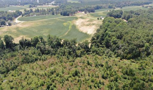 Photo #13 of Tbd Chicken, Fairmont, NC 64.7 acres