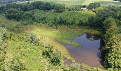 Photo #18 of Tbd Chicken, Fairmont, NC 64.7 acres