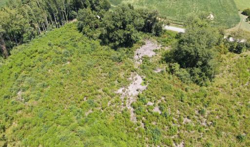 Photo #26 of Tbd Chicken, Fairmont, NC 64.7 acres