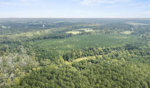 Photo #6 of Tba Bill Hooks, Whiteville, NC 38.8 acres