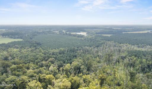 Photo #8 of Tba Bill Hooks, Whiteville, NC 38.8 acres