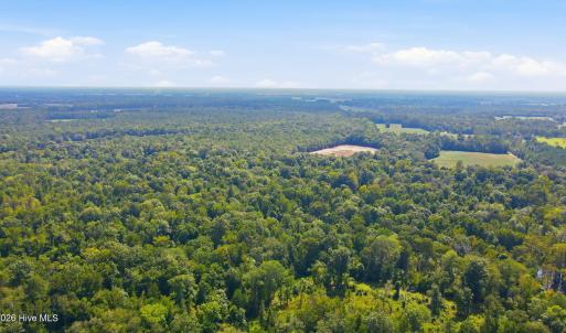 Photo #19 of 315 Heath, Trenton, NC 234.3 acres
