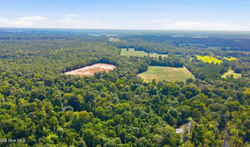 Photo #20 of 315 Heath, Trenton, NC 234.3 acres