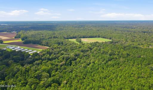 Photo #15 of 315 Heath, Trenton, NC 234.3 acres