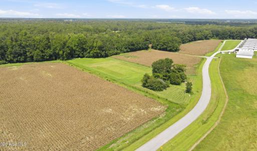 Photo #7 of 315 Heath, Trenton, NC 234.3 acres