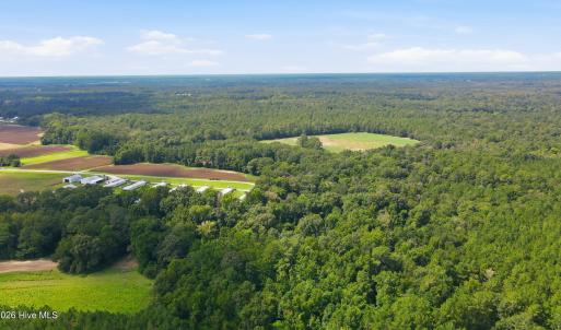 Photo #16 of 315 Heath, Trenton, NC 234.3 acres