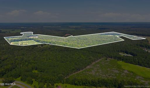 Photo #4 of 315 Heath, Trenton, NC 234.3 acres