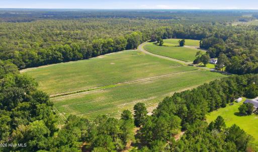 Photo #24 of 315 Heath, Trenton, NC 234.3 acres