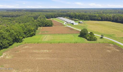 Photo #8 of 315 Heath, Trenton, NC 234.3 acres