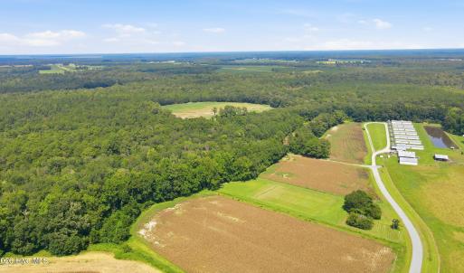Photo #11 of 315 Heath, Trenton, NC 234.3 acres