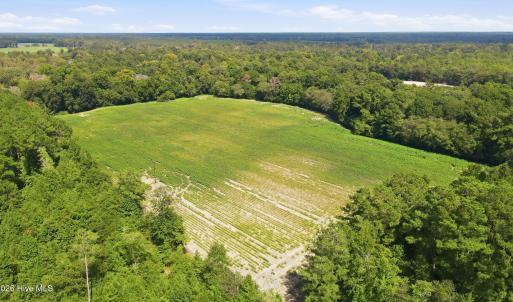 Photo #23 of 315 Heath, Trenton, NC 234.3 acres
