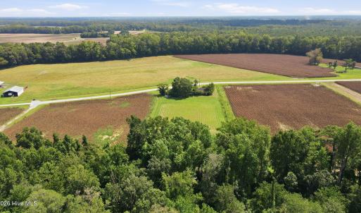 Photo #5 of 315 Heath, Trenton, NC 234.3 acres