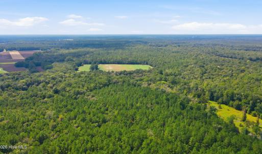 Photo #14 of 315 Heath, Trenton, NC 234.3 acres