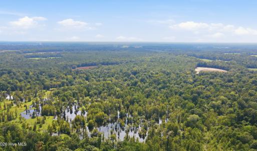 Photo #18 of 315 Heath, Trenton, NC 234.3 acres