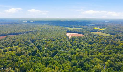 Photo #22 of 315 Heath, Trenton, NC 234.3 acres