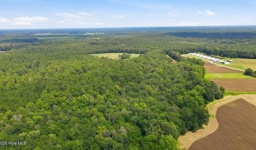 Photo #12 of 315 Heath, Trenton, NC 234.3 acres