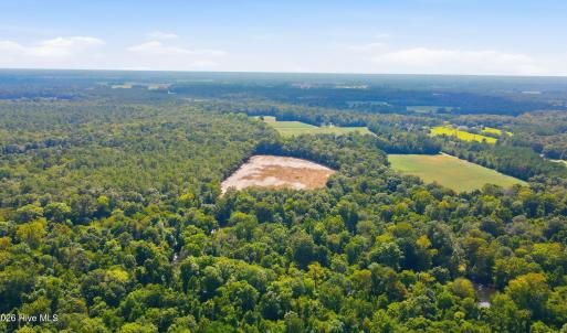 Photo #21 of 315 Heath, Trenton, NC 234.3 acres
