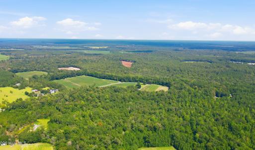 Photo #28 of 315 Heath, Trenton, NC 234.3 acres