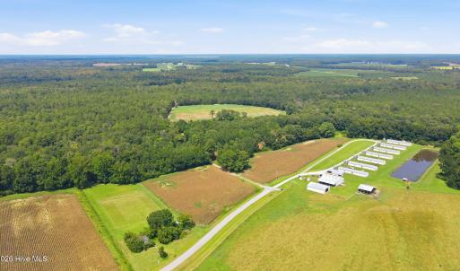 Photo #10 of 315 Heath, Trenton, NC 234.3 acres